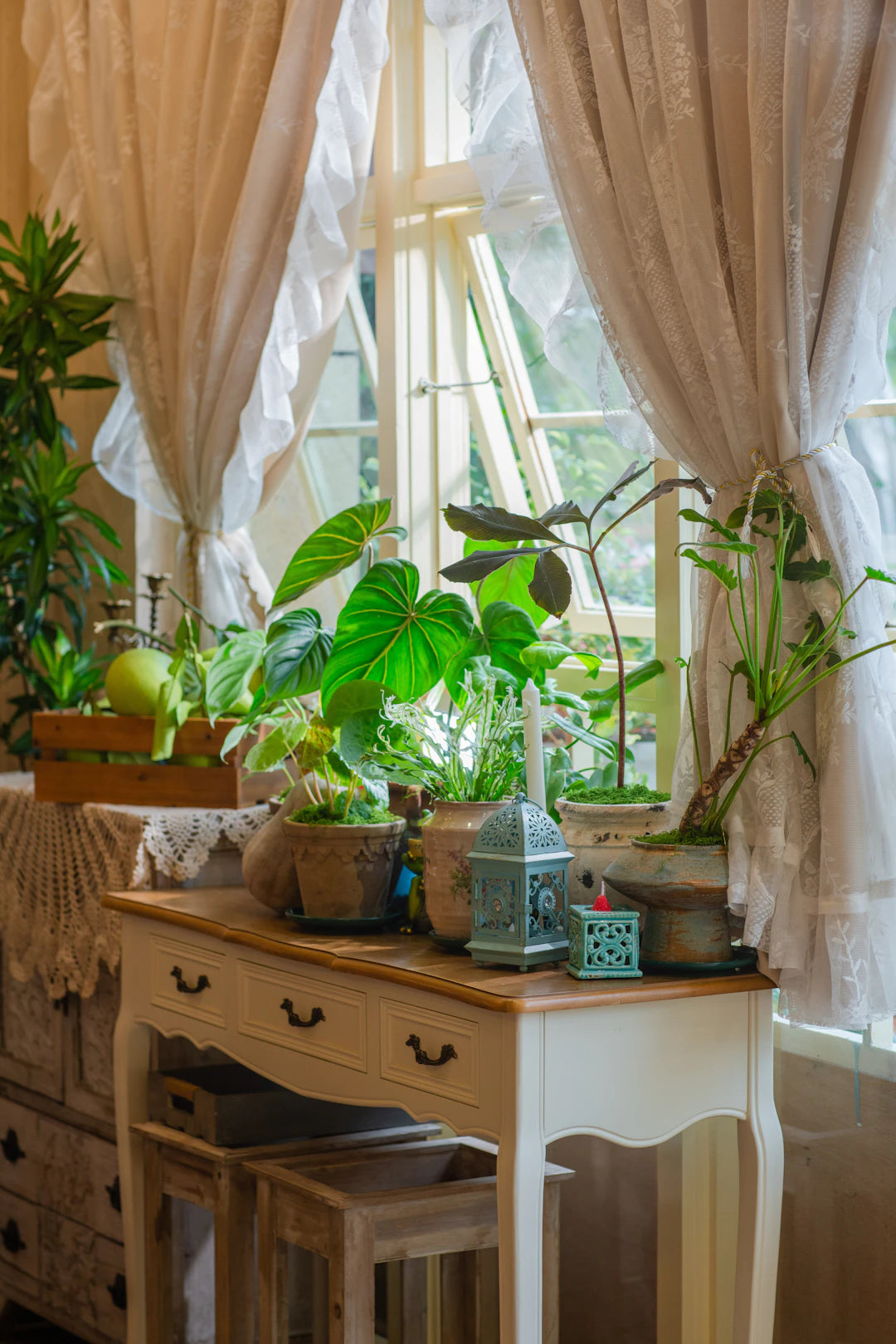Natürliche Deko für Ihr Zuhause Die Vorteile von Naturprodukten