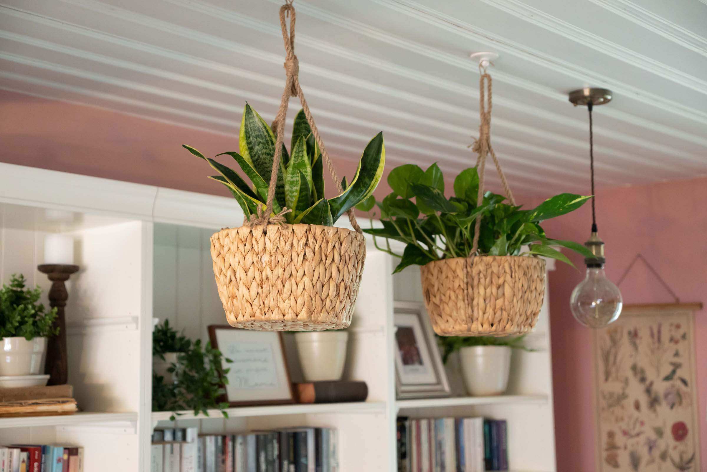 Hängeampel aus Wasserhyazinthe - Nachhaltige Blumenampel für stilbewusstes Wohnen - Decorasian.eu