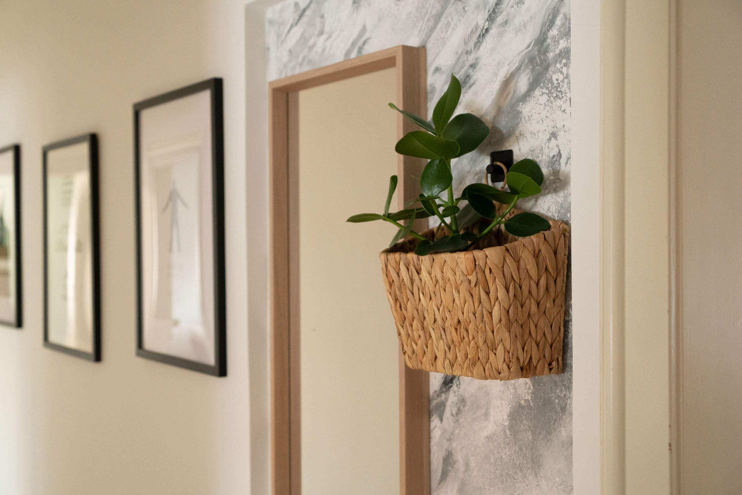 Wandampel – Blumenampel für die Wand - Decorasian.eu