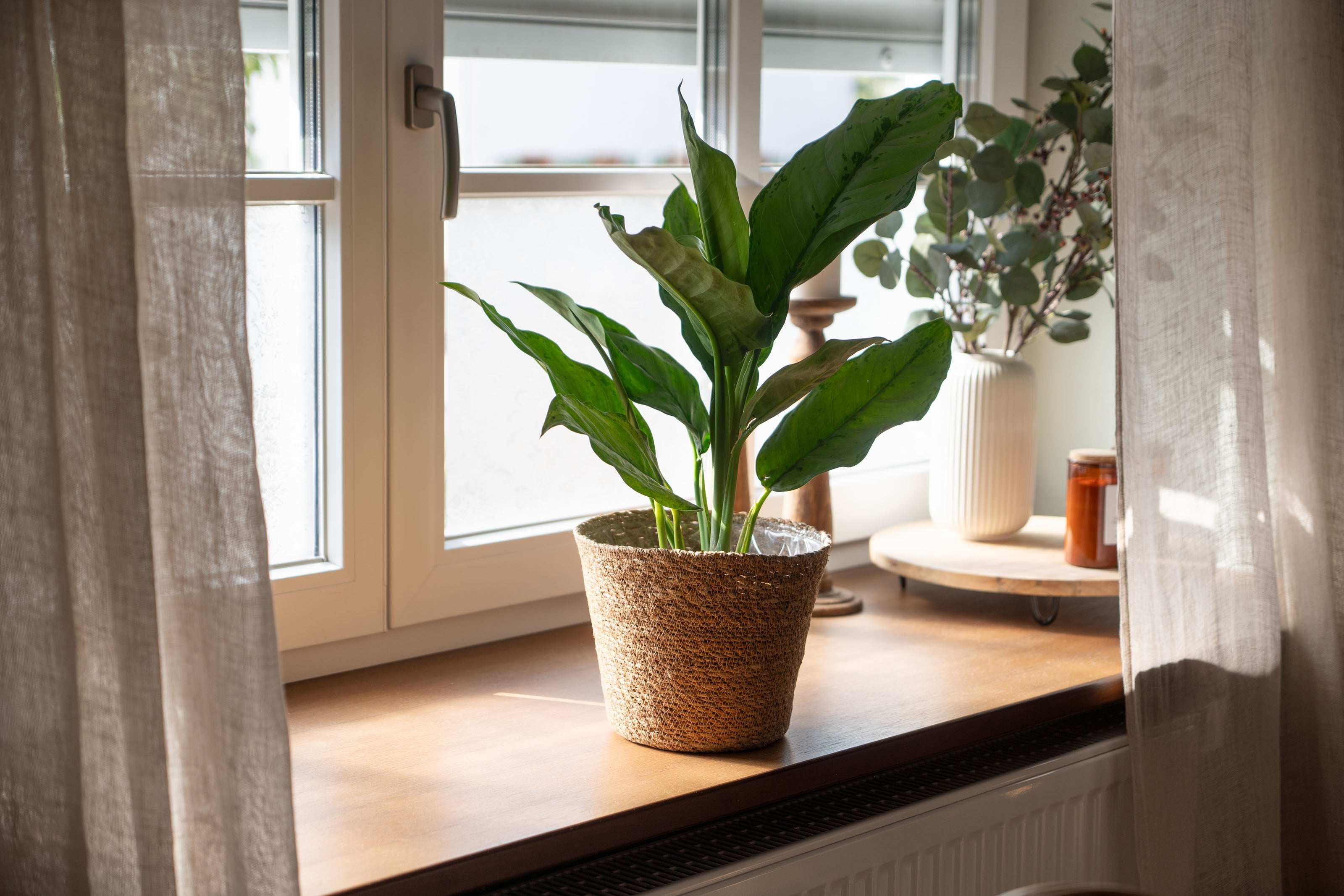 Blumentopf aus Seegras - Natürlicher Pflanztopf im Boho Stil - Decorasian.eu