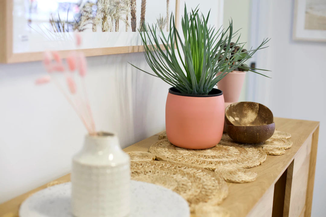 Natürliche Blumentöpfe aus Seegras im Boho-Stil