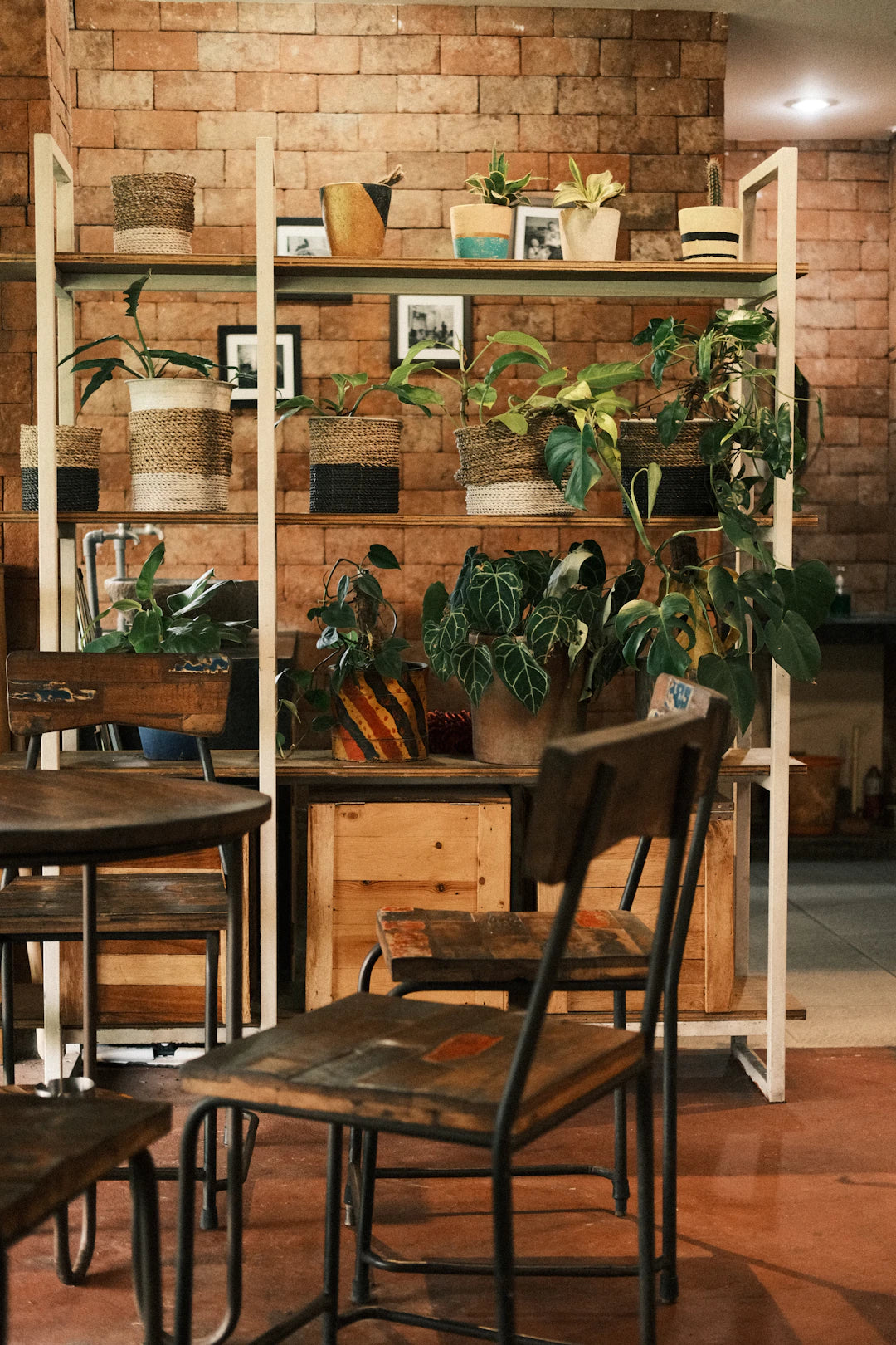 Holz in der Inneneinrichtung Tipps und Ideen für Ihr Zuhause