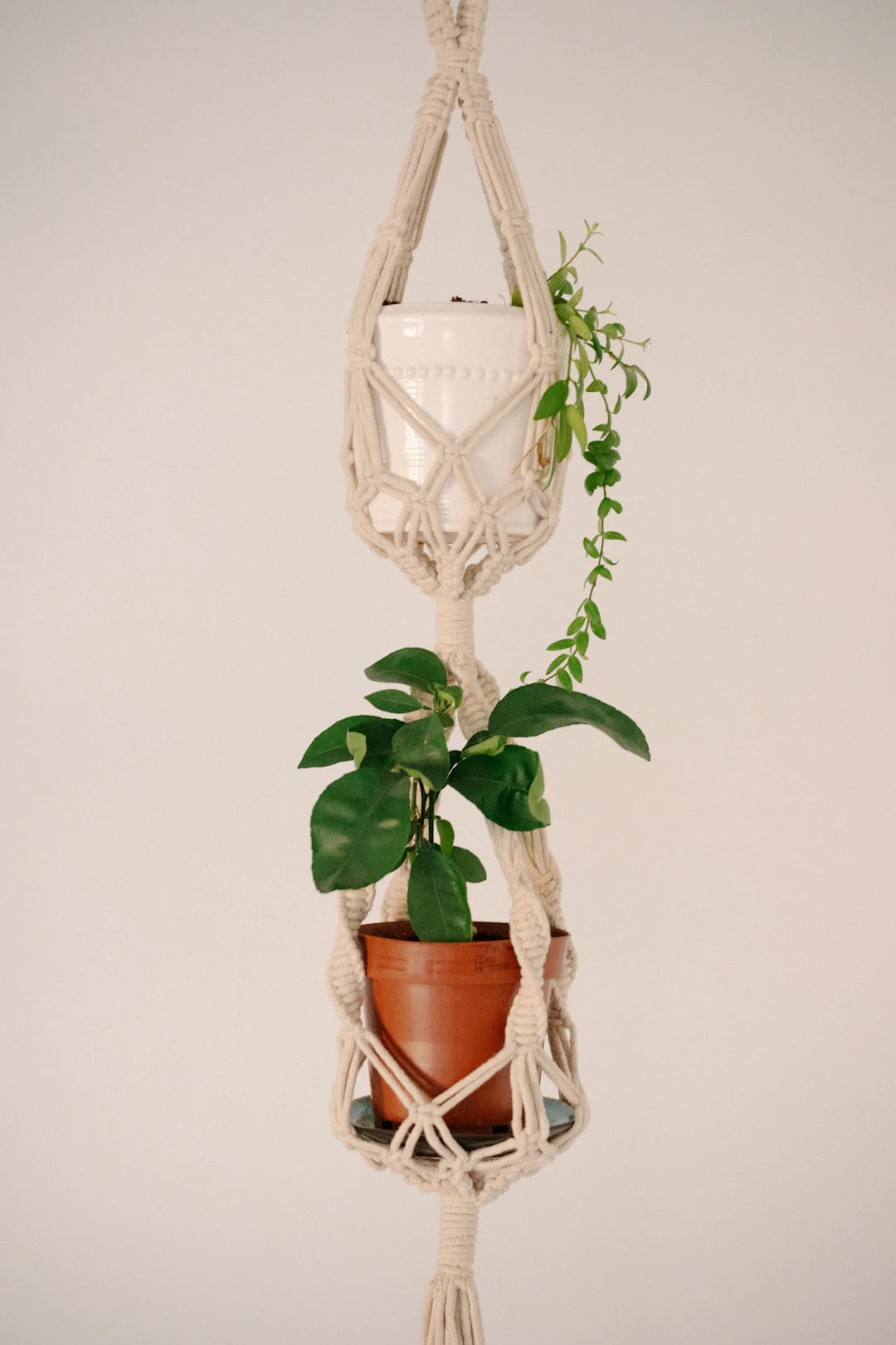 Ästhetische Blumenampeln aus Naturmaterialien für jeden Raum
