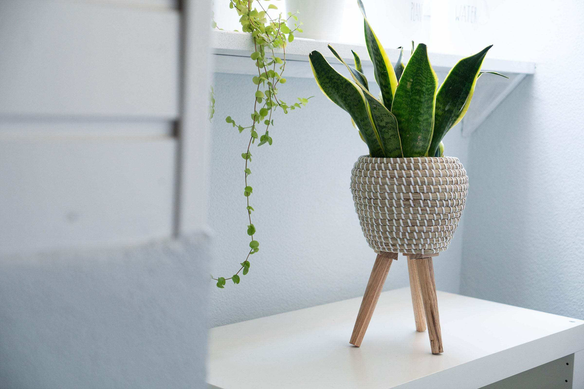 Blumentopf aus Seegras geflochten, mit integriertem Ständer - Decorasian.eu