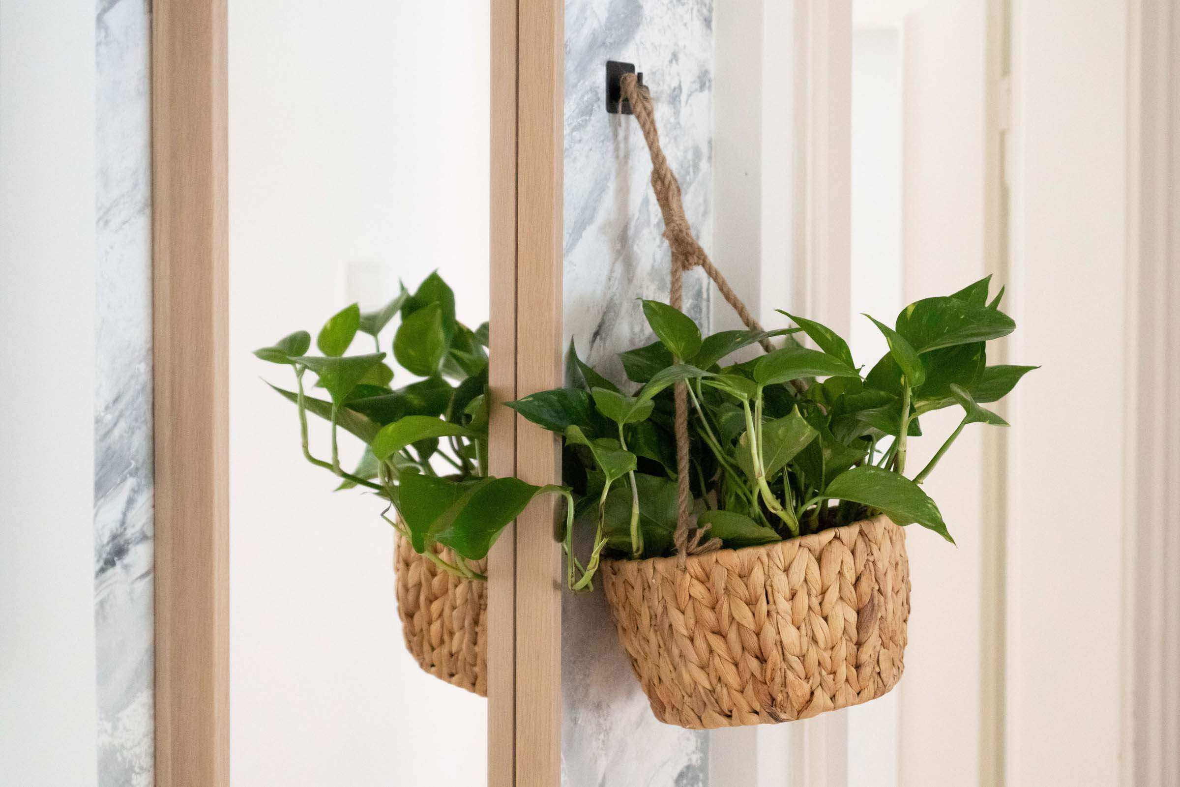 Hängeampel aus Wasserhyazinthe - Nachhaltige Blumenampel für stilbewusstes Wohnen - Decorasian.eu