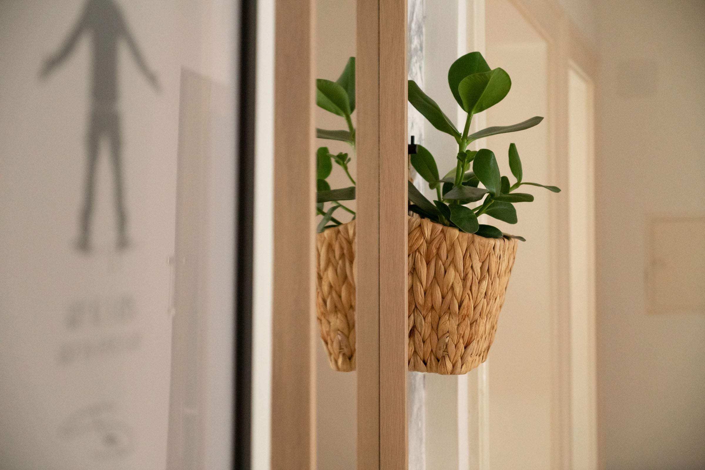 Wandampel – Blumenampel für die Wand