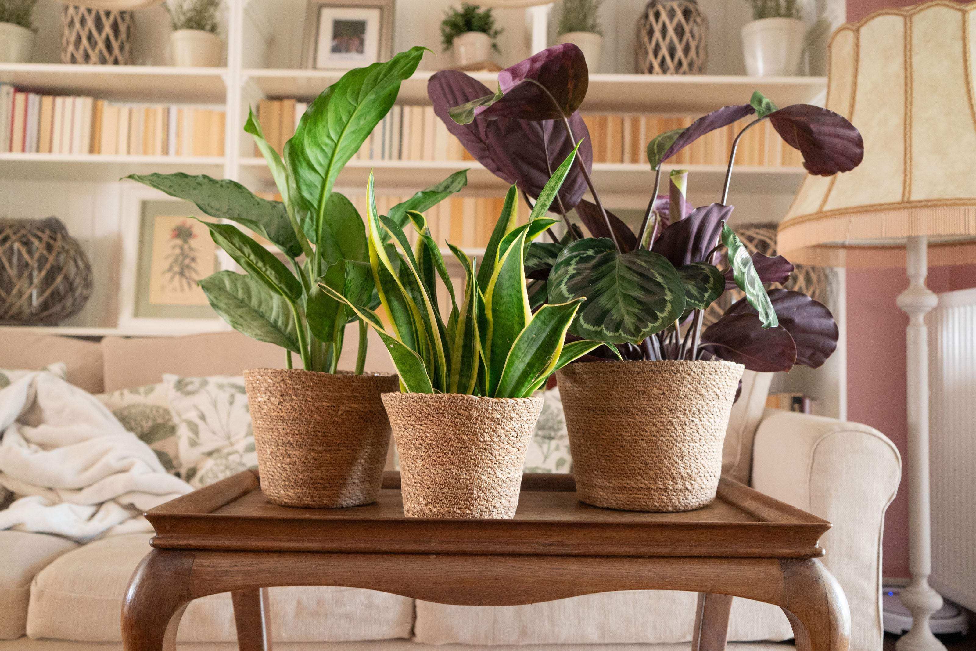 Blumentopf aus Seegras - Natürlicher Pflanztopf im Boho Stil - Decorasian.eu
