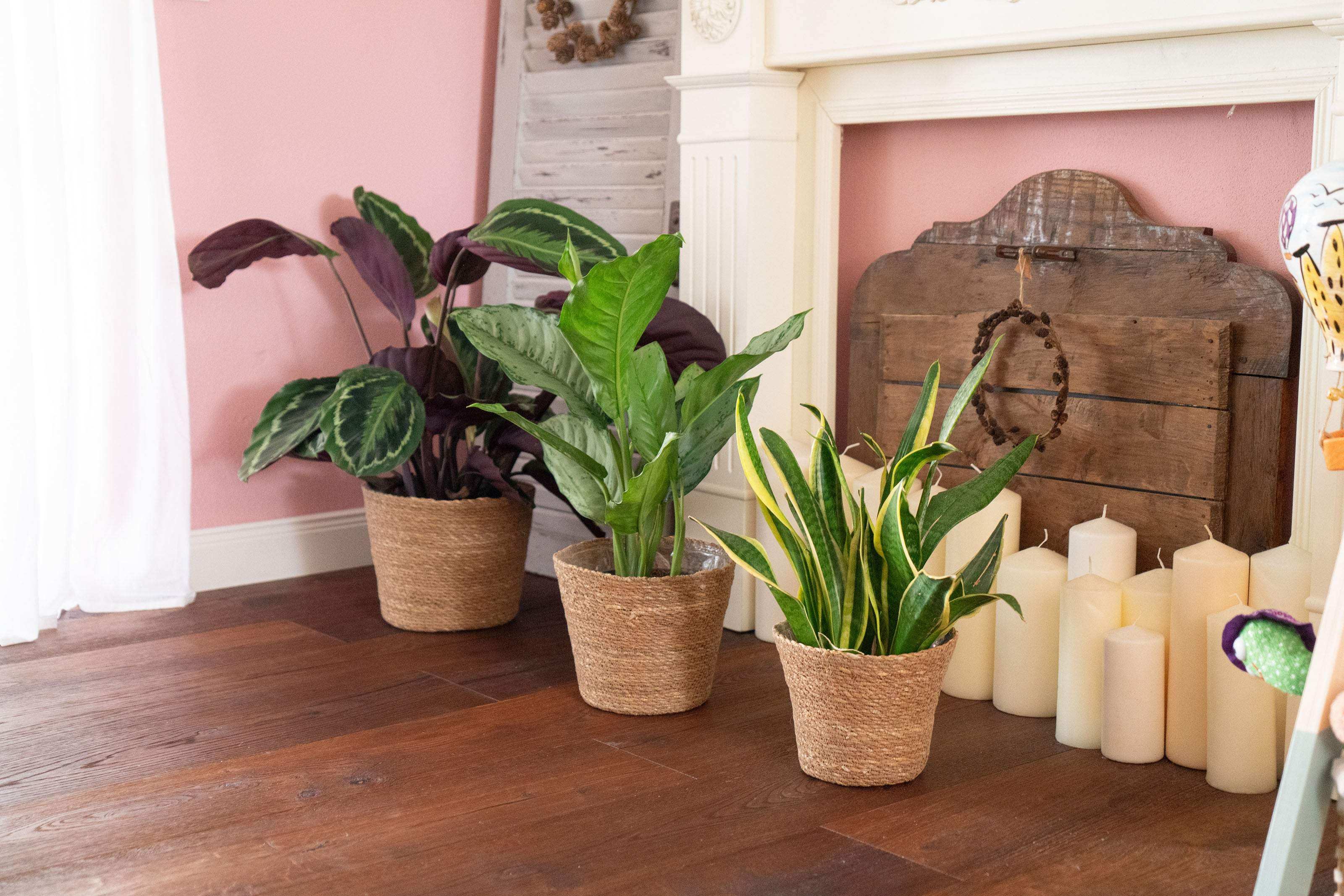 Blumentopf aus Seegras - Natürlicher Pflanztopf im Boho Stil - Decorasian.eu