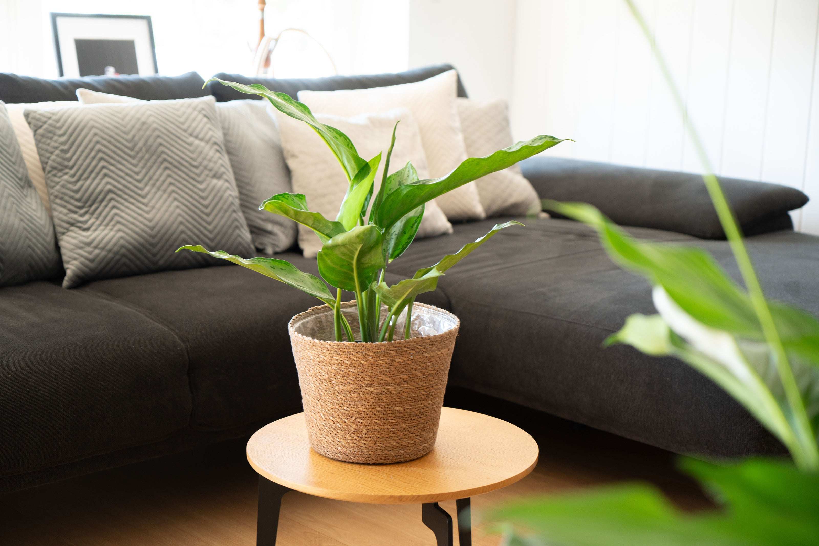 Blumentopf aus Seegras - Natürlicher Pflanztopf im Boho Stil - Decorasian.eu