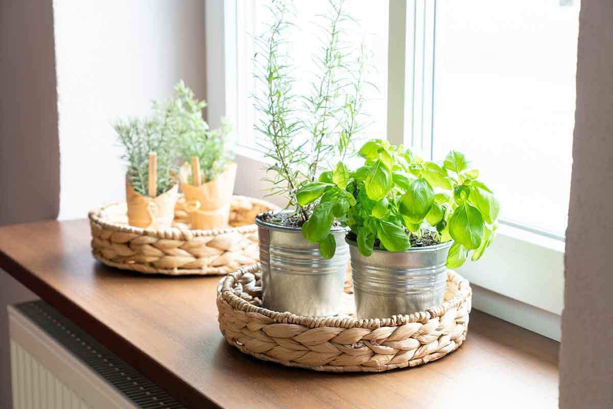 Servierkorb, rund geflochten aus Wasserhyazinthe - Obstkorb - Decorasian.eu